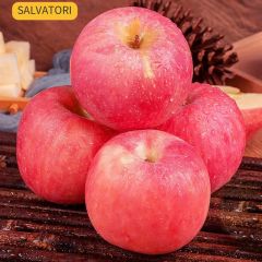 SALVATORI ——新鲜水果-苹果-当季整箱脆甜红富士冰糖心丑平萍果现季包邮（5斤装）