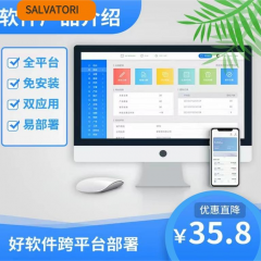 SALVATORI ——计算机软件咨询服务卡（一天）