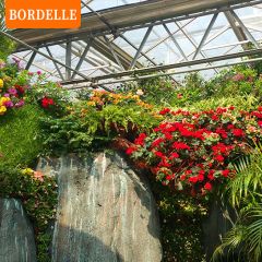 BORDELLE——园艺服务卡