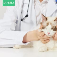 LAPERLA——兽医辅助服务卡